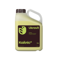 Гербіцид Кайліс 5 л