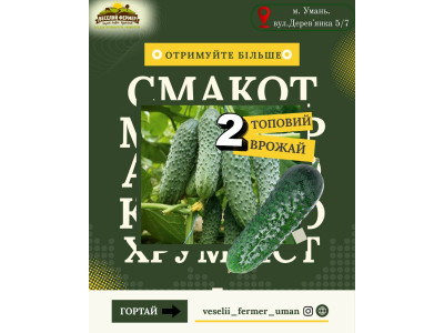 Огірки, які ви отримаєте в цьому році,якщо посієте в середині літа