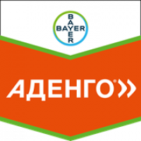 Аденго 5л.