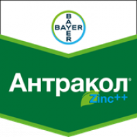 Фунгіцид Антракол 10 кг
