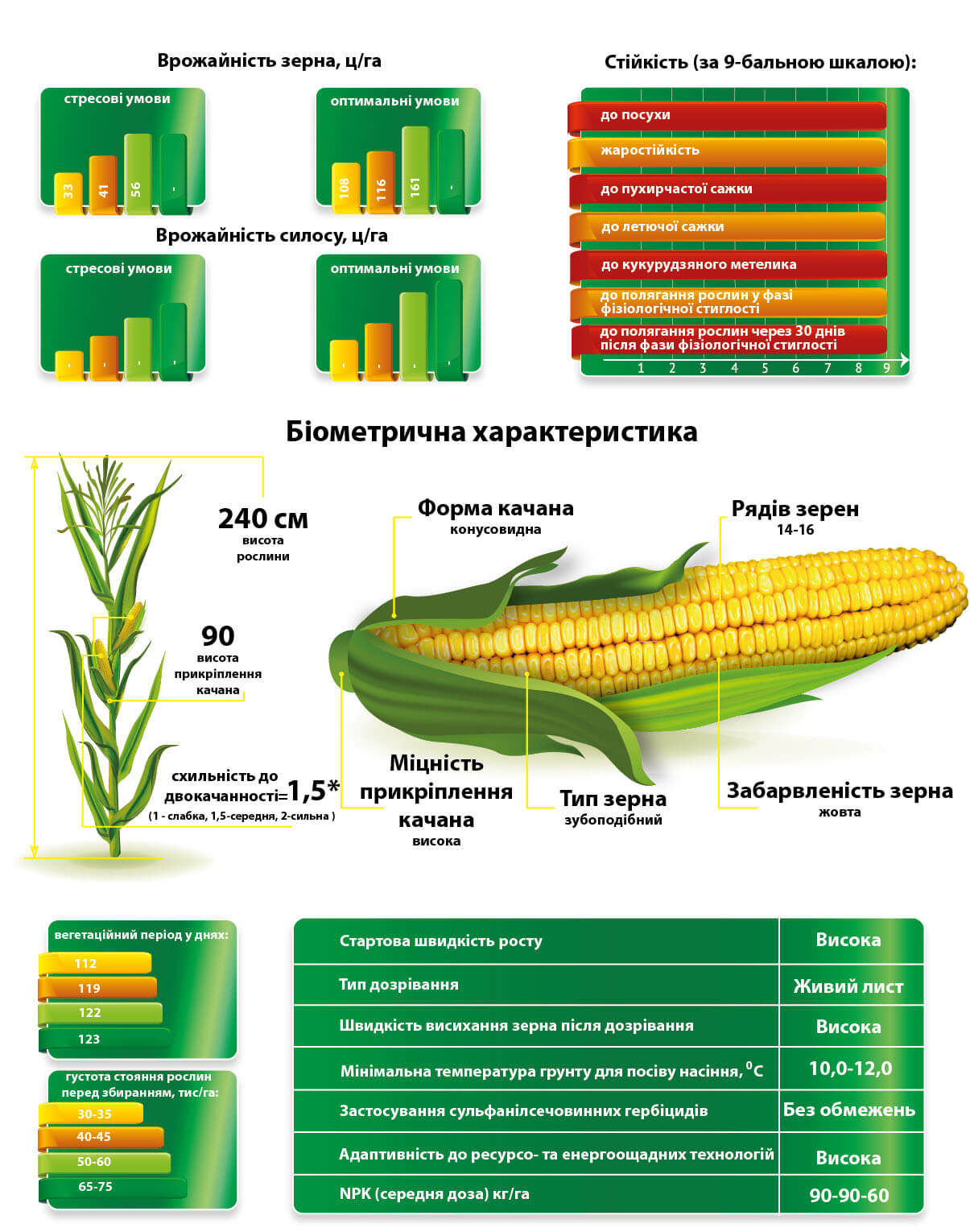 Насіння кукурудзи Візир МАЇС Купити