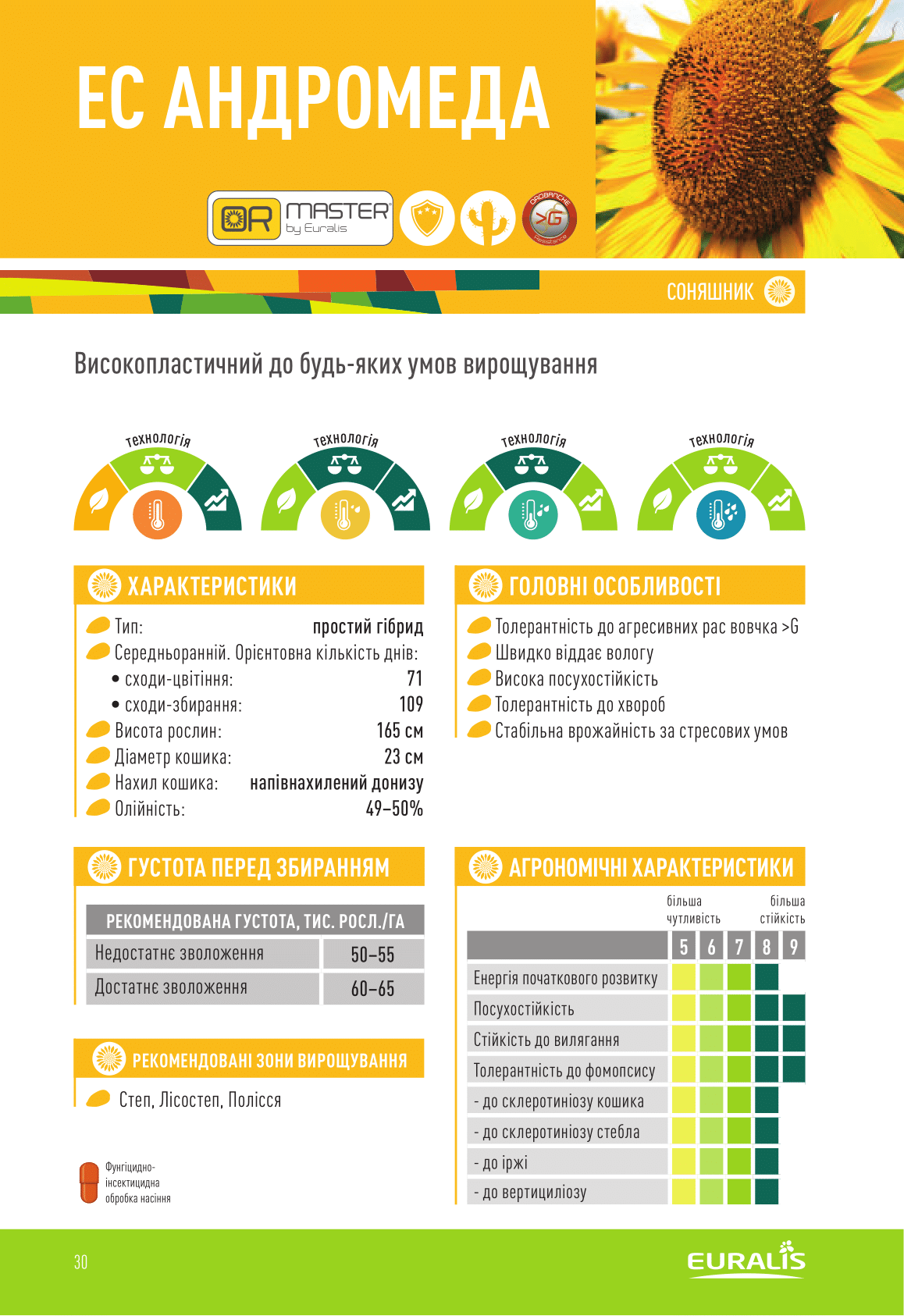 Купити Насіння соняшнику ЄС АНДРОМЕДА